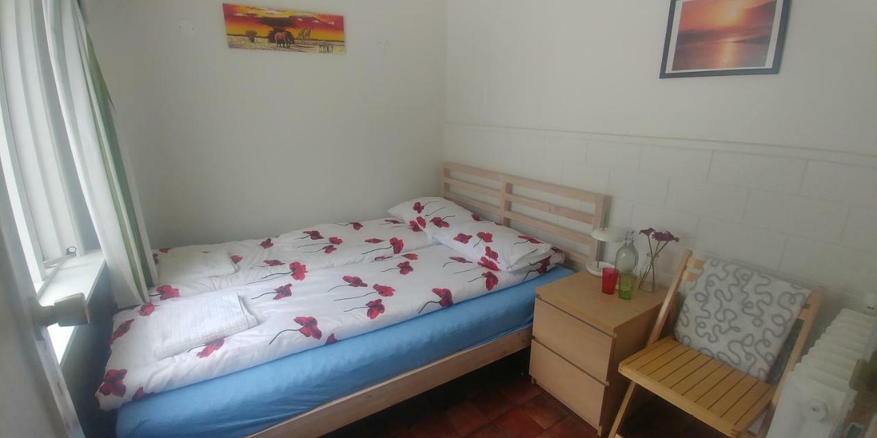 East Iceland Homestay Eskifjörður Eksteriør billede